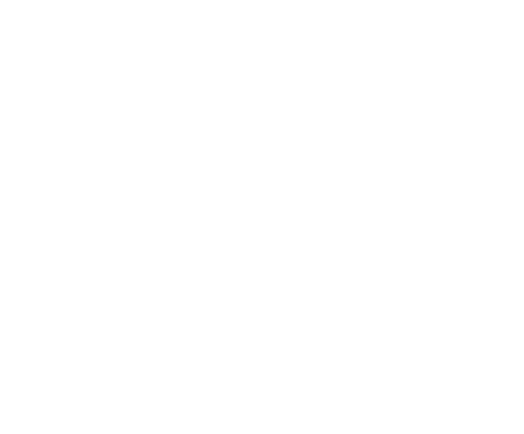 Viviane Leite